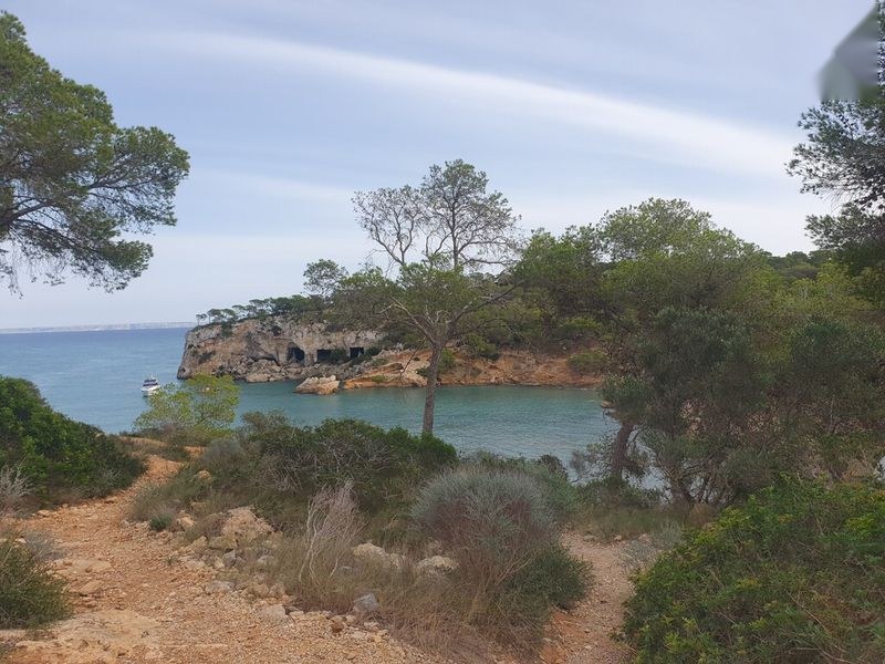 Casa/Chalet en Baleares (1/5)